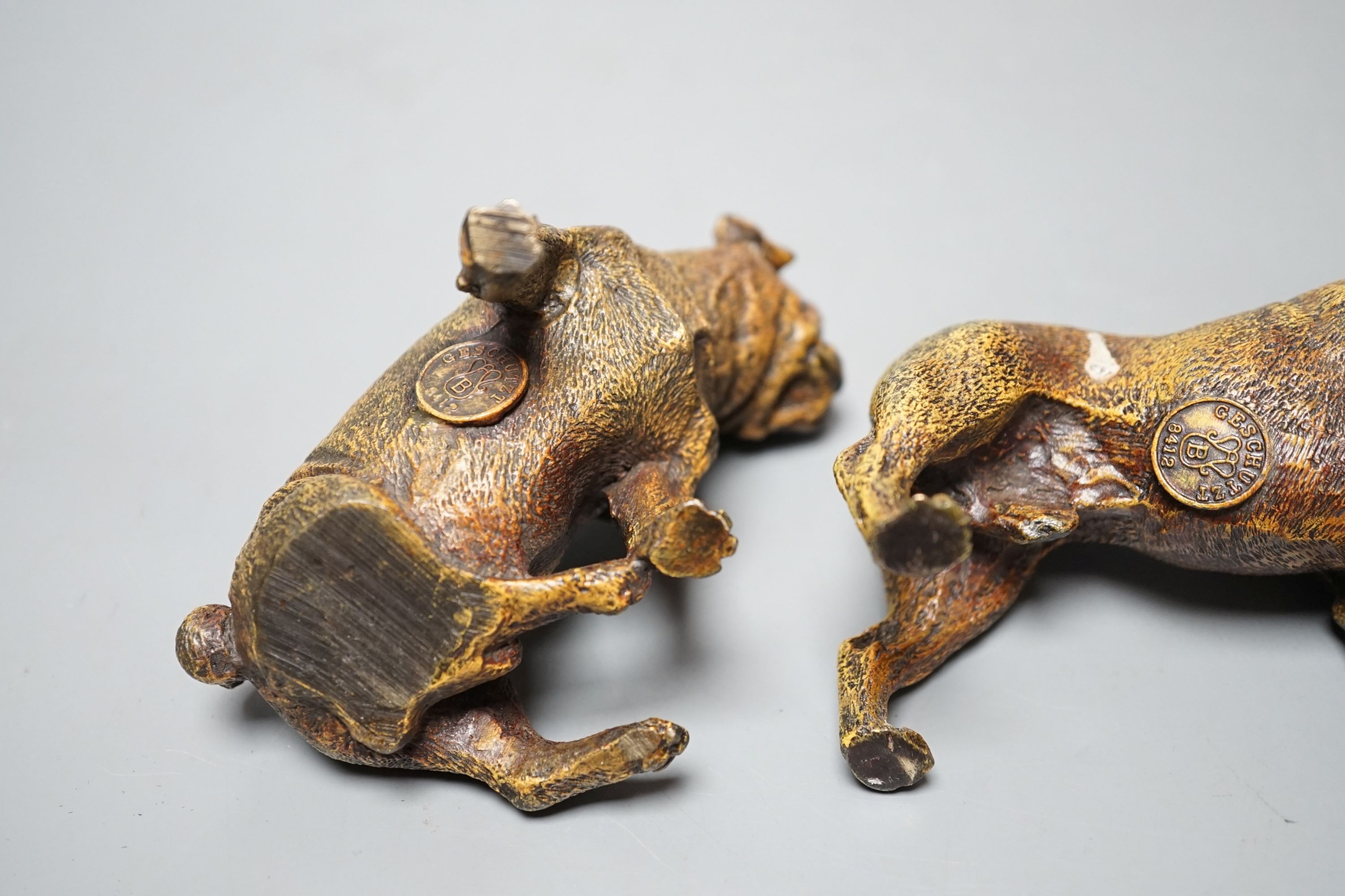 Two cold painted bronzes, a pug and a bulldog, with applied discs reading ‘GESCHUTZT’. 14cm